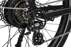 Ebike