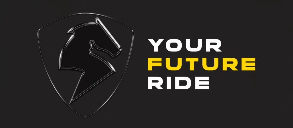 TESTING NEW WEBSITE INTEGRATIONS