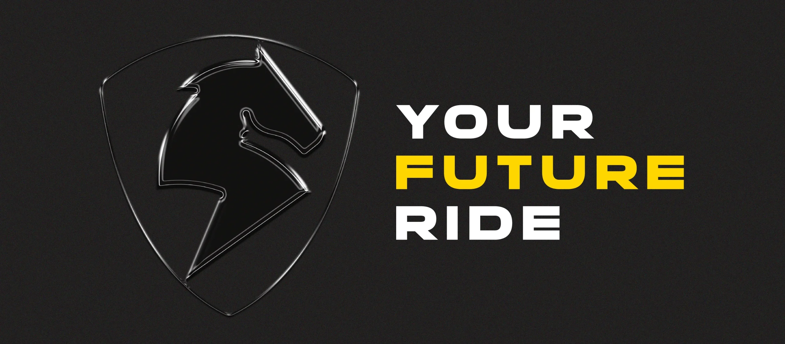 TESTING NEW WEBSITE INTEGRATIONS