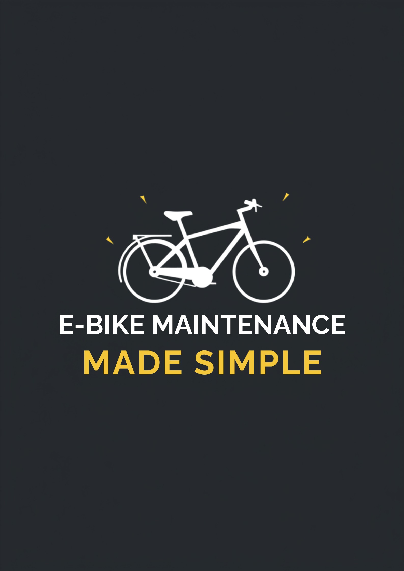 Electric bike maintenance guide infographic by Cyberbikes Leichhardt Sydney